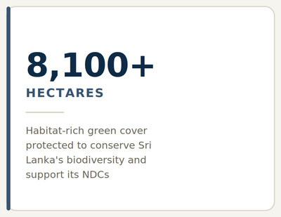 Habitat Rich Green Cover Protected
