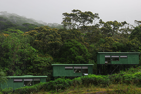 Rainforest Ecolodge chalets positioned on a green hillside beside the forest